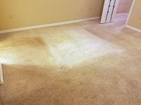 Carpet Cleaning Magill image 2